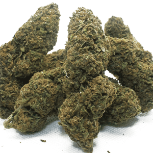 Amnesia Haze Weed Strain