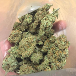 Blue Dream Marijuana Strain