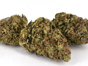 Blue Walker Cannabis Strain