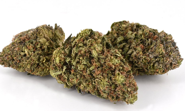 Blue Walker Cannabis Strain