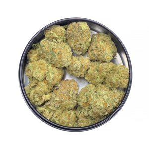 Blueberry Cannabis Strain