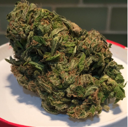 Cherry Pie Cannabis Strain
