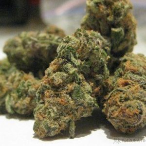 Girl Scout Cookies Weed Strain