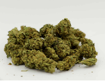 Gorilla Glue Marijuana Strain