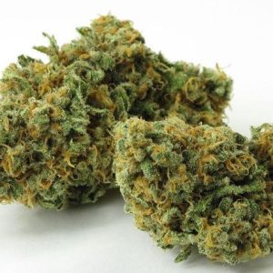 Green Crack Marijuana Strain