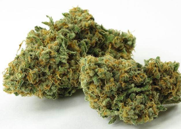 Green Crack Marijuana Strain