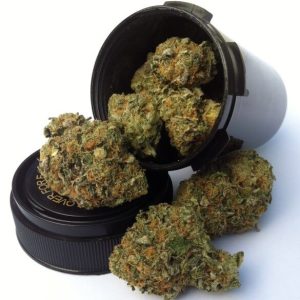 Hybrid Weed Strain Europe