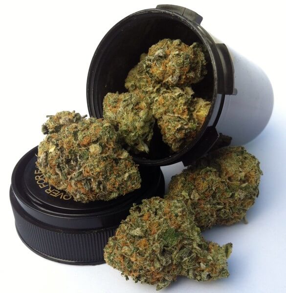 Hybrid Weed Strain Online ES