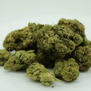 Jack Herer Cannabis Strain