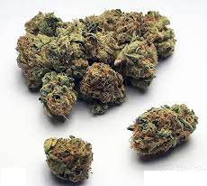 OG Kush Cannabis Strain