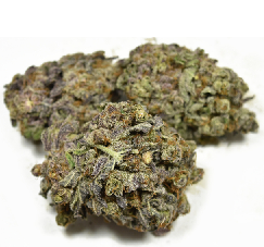 Peyote Zkittlez Weed Strain