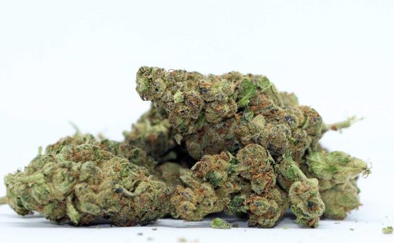 Wedding Pie Cannabis Strain