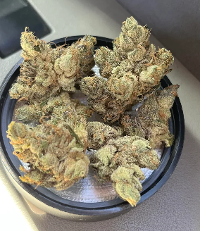 Abomination Weed Strain