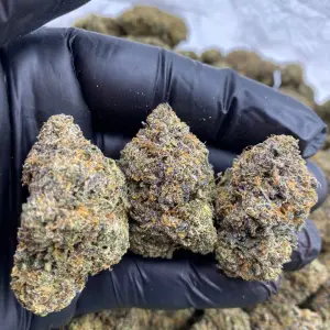 Blueberry Marijuana Strain