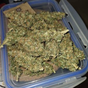 Cookie Crisp Weed Strain