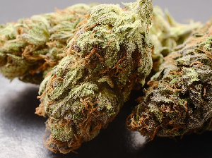 Firestorm Marijuana Strain
