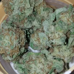 Gorilla Zkittlez Cannabis Strain