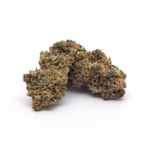 Interspecies Erotica Marijuana Strain