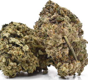 Rose Gold Runtz Weed Strain