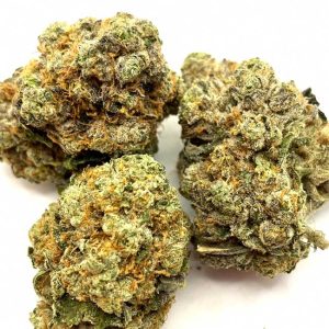 Sasquatch Marijuana Strain