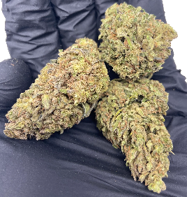 Sour Glue Weed Strain