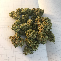 Grape Topanga Weed Strain