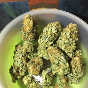 7-Way Marijuana Strain