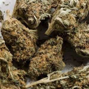 Aceh Marijuana Strain