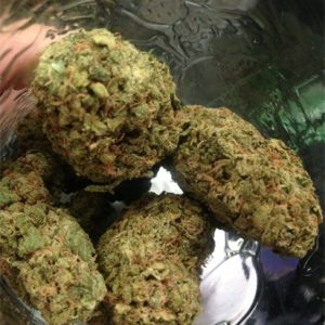 Aloha Marijuana Strain