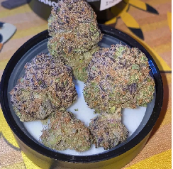 Blueberry Muffin Weed Strain