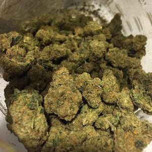 Bruce Banner Cannabis Strain