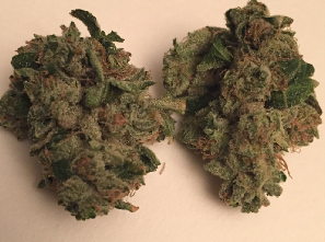 Chem 91 Marijuana Strain