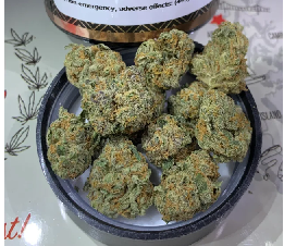 Chocolate Mint Og Weed Strain