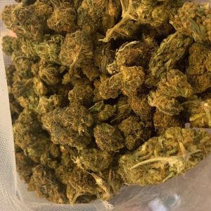 Colombian Gold Weed Strain