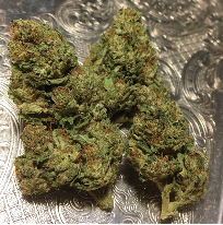 Death Star Marijuana Strain