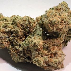 Doc Trinity Marijuana Strain