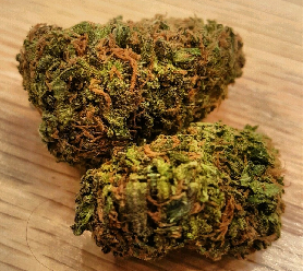 Double Dream Cannabis Strain