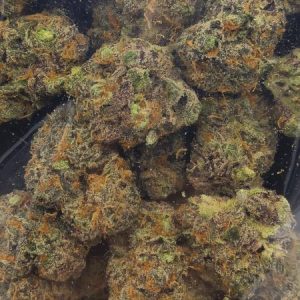 Dr. Who Marijuana Strain