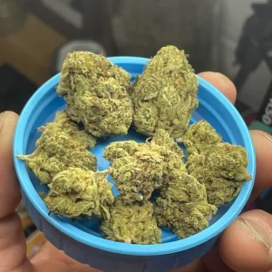 Full Moon Marijuana Strain