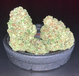 Ghost Train Haze Weed Strain