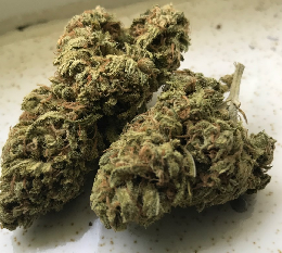 Green Dragon Weed Strain