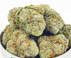 Green Poison Cannabis Strain