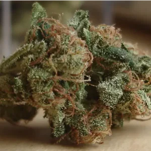 Hawaiian Snow Weed Strain