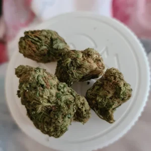 Hindu Kush Weed Strain
