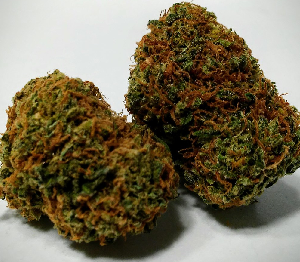 Hog Marijuana Strain