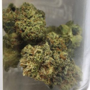 Holy Grail OG Weed Strain