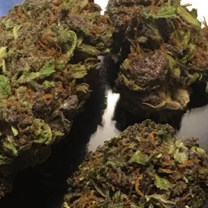 Jager Marijuana Strain