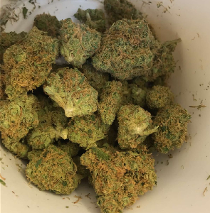 Jillybean Marijuana Strain