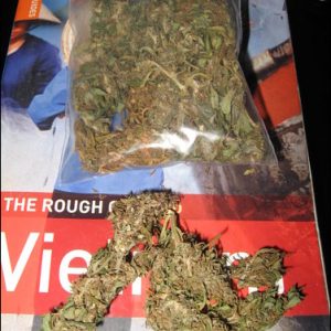 Laos Marijuana Strain