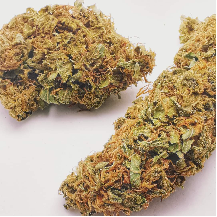 Laotian Marijuana Strain